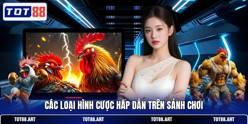 Các loại hình cược hấp dẫn trên sảnh chơi