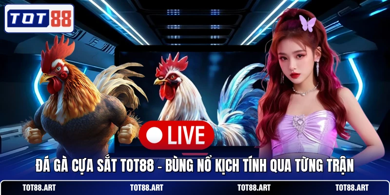 Đá Gà Cựa Sắt TOT88