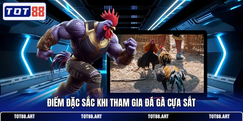 Điểm đặc sắc khi tham gia đá gà cựa sắt
