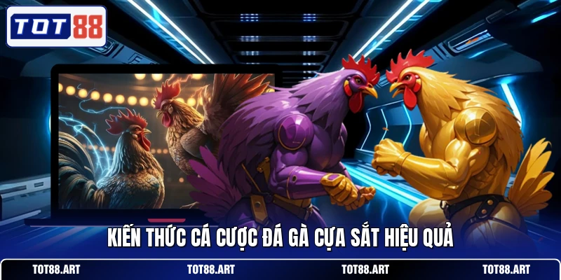 Kiến thức cá cược đá gà cựa sắt hiệu quả