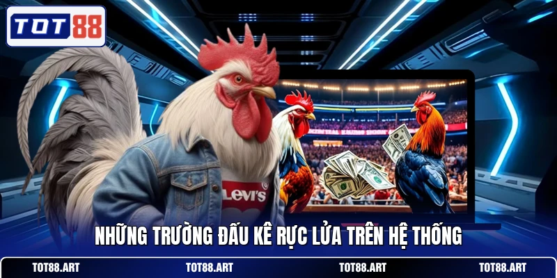 Những trường đấu kê rực lửa trên hệ thống