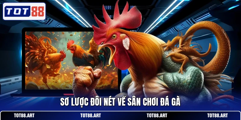 Sơ lược đôi nét về sân chơi đá gà