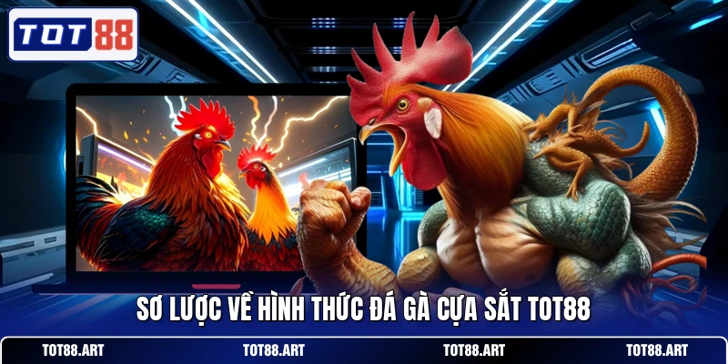 Sơ lược về hình thức đá gà cựa sắt TOT88